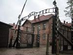 Studienfahrt nach Auschwitz